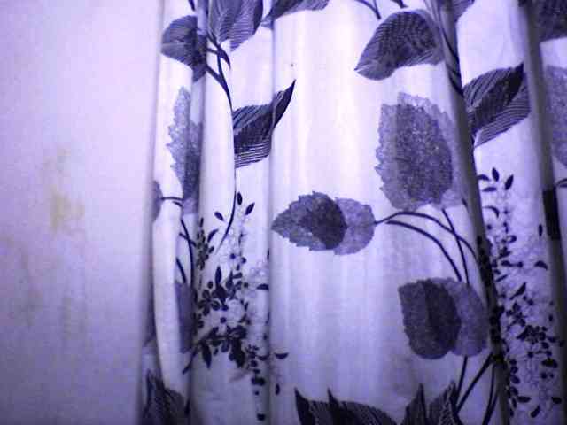 silviaLaBombe silviaLaBombe