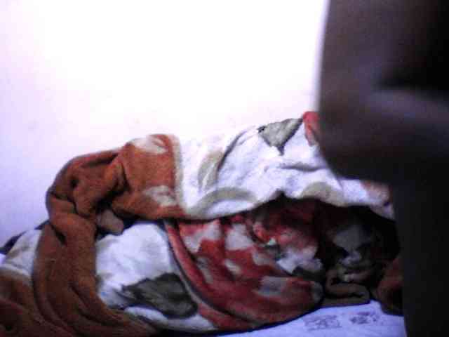 silviaLaBombe webcam