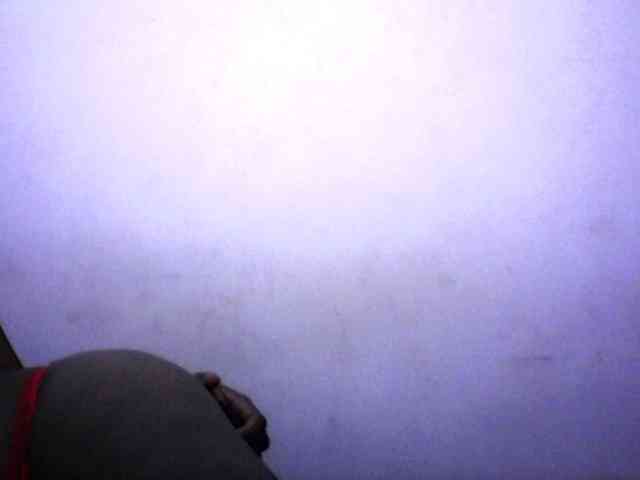 silviaLaBombe webcam