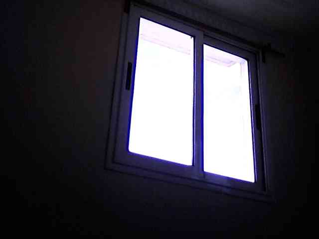 silviaLaBombe webcam