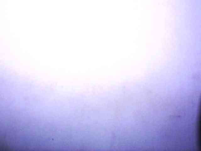 silviaLaBombe webcam