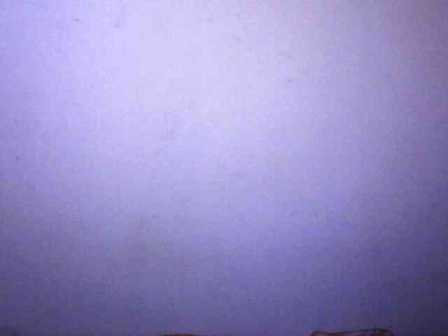 silviaLaBombe webcam