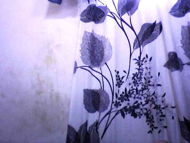 silviaLaBombe webcam