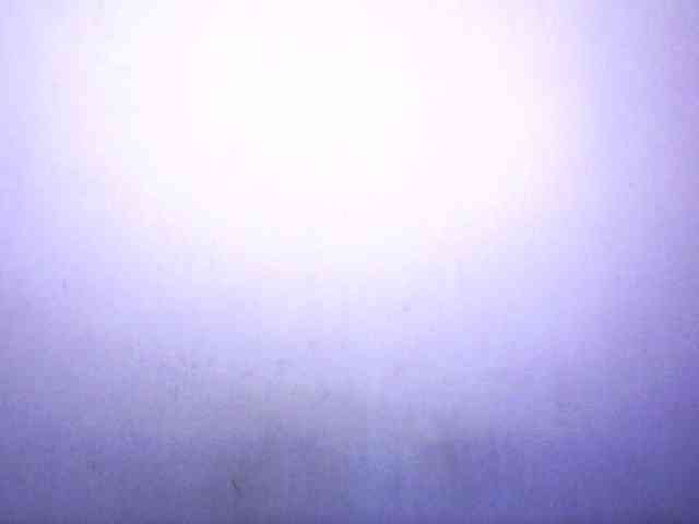 silviaLaBombe webcam