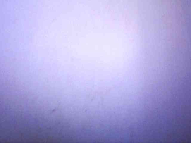 silviaLaBombe webcam