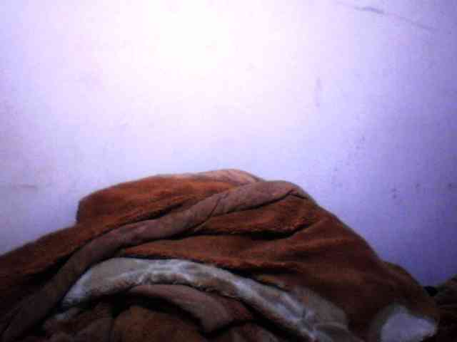 silviaLaBombe webcam