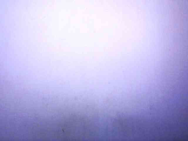 silviaLaBombe webcam