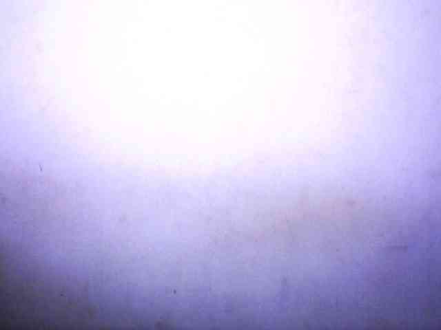 silviaLaBombe webcam