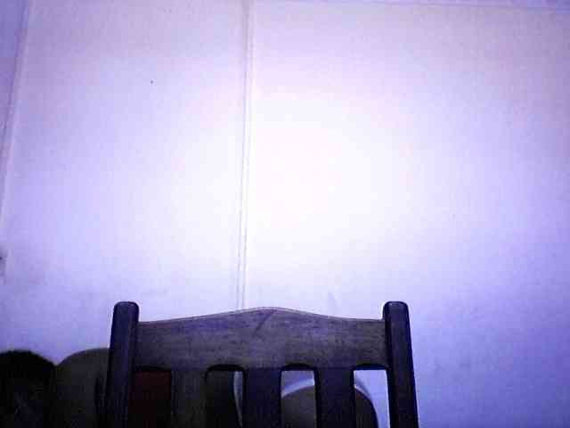 silviaLaBombe webcam