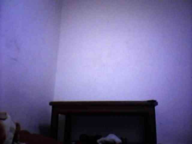 silviaLaBombe webcam