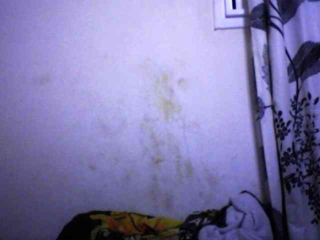 silviaLaBombe webcam