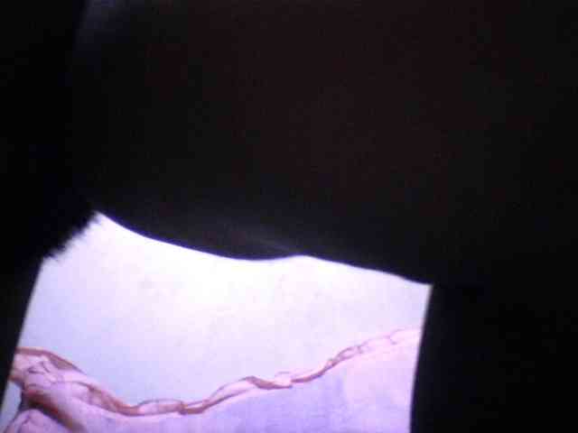 silviaLaBombe silviaLaBombe