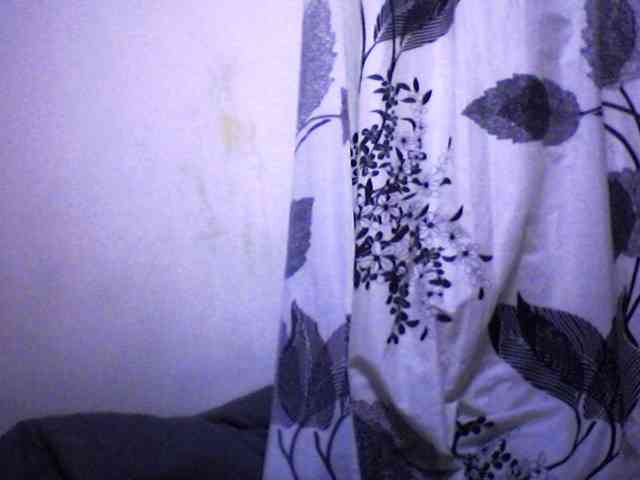 silviaLaBombe webcam