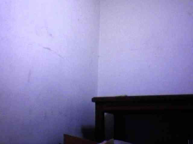 silviaLaBombe webcam