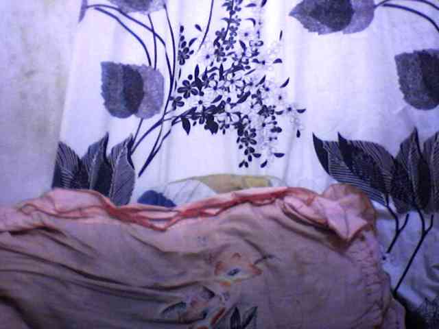 silviaLaBombe webcam