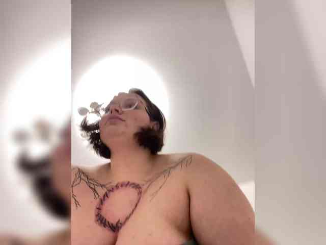 Stellai webcam