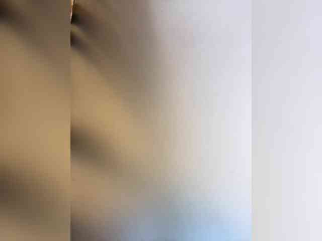 Stellai webcam