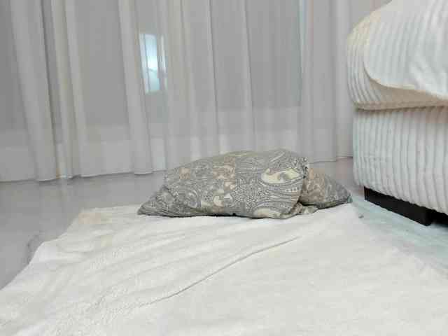 Saradiamond01 webcam