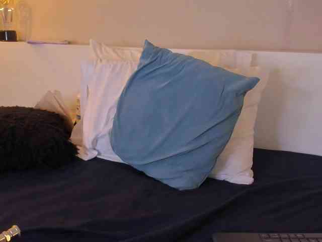 levanna webcam