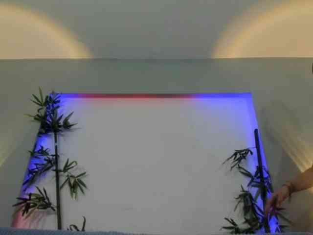 Mastiv2 webcam
