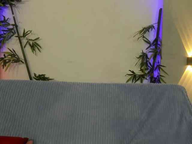 Mastiv2 webcam