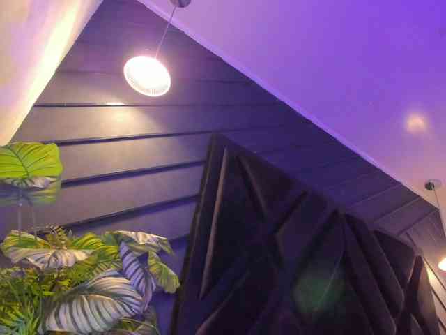 Alahia-Dangelo webcam