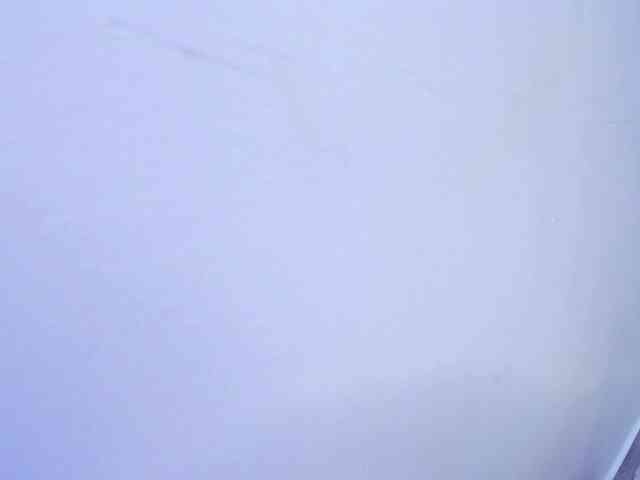 Alahia-Dangelo webcam
