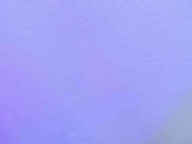 Alahia-Dangelo webcam