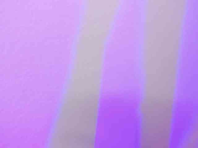 Alahia-Dangelo webcam