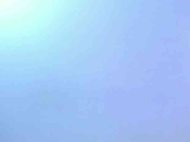 Alahia-Dangelo webcam