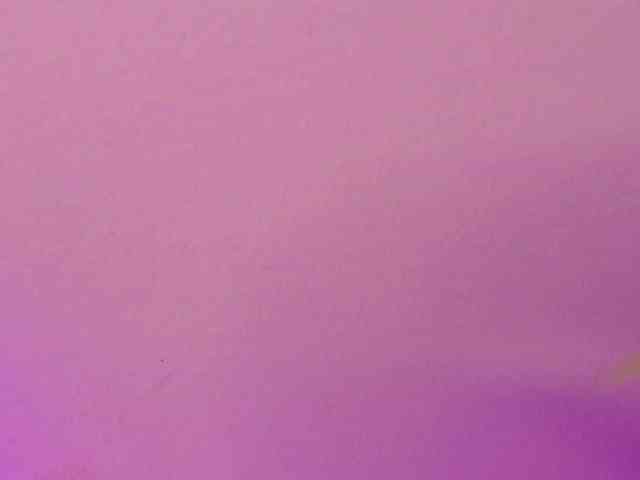 Alahia-Dangelo webcam