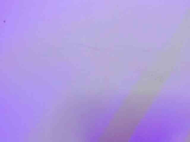 Alahia-Dangelo webcam