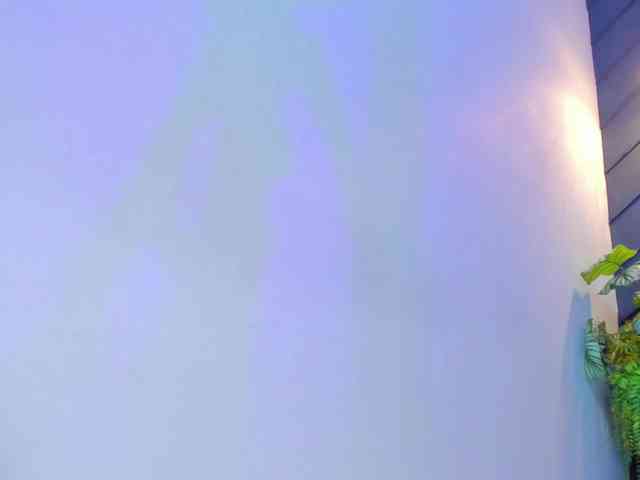 Alahia-Dangelo webcam