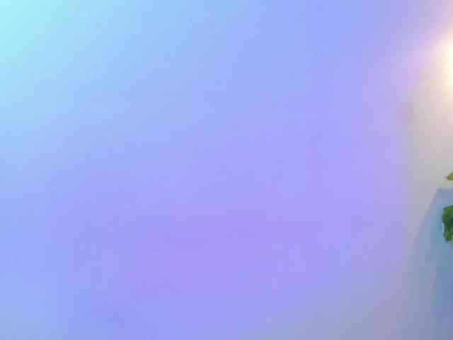 Alahia-Dangelo webcam