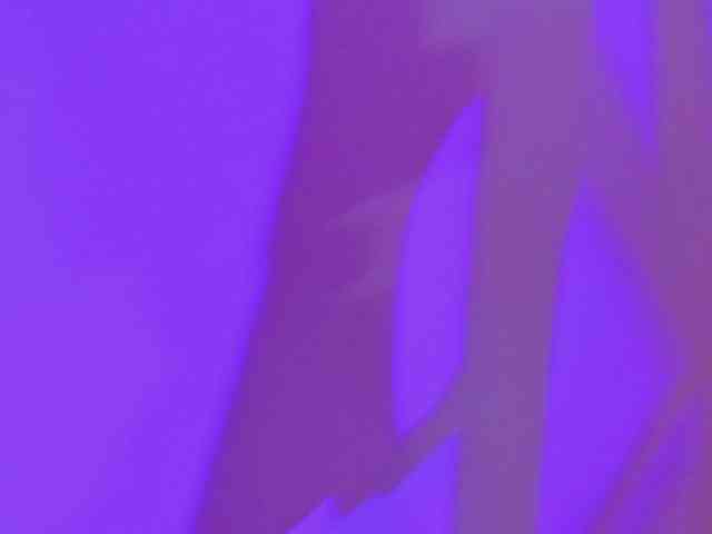 Alahia-Dangelo webcam