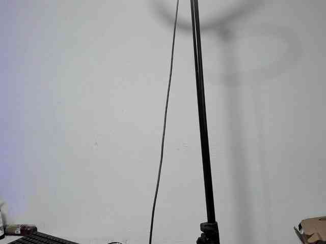 RavenQueen1 webcam
