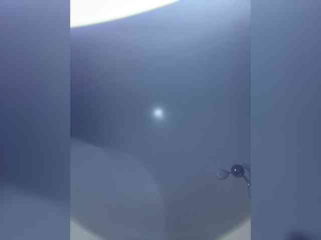 Zaykaaa11 webcam