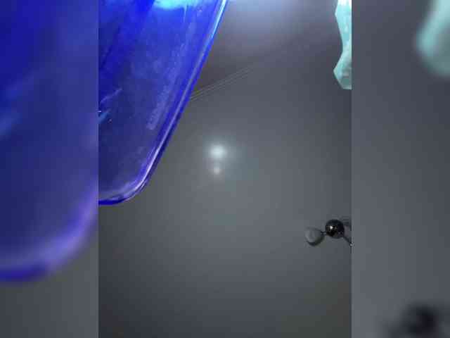 LinaMinn webcam