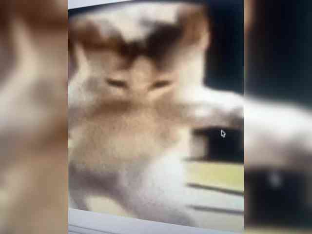 LinaMinn webcam