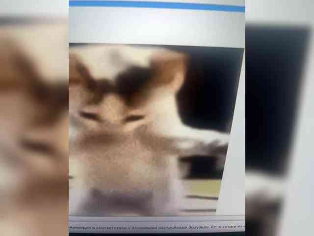 LinaMinn webcam