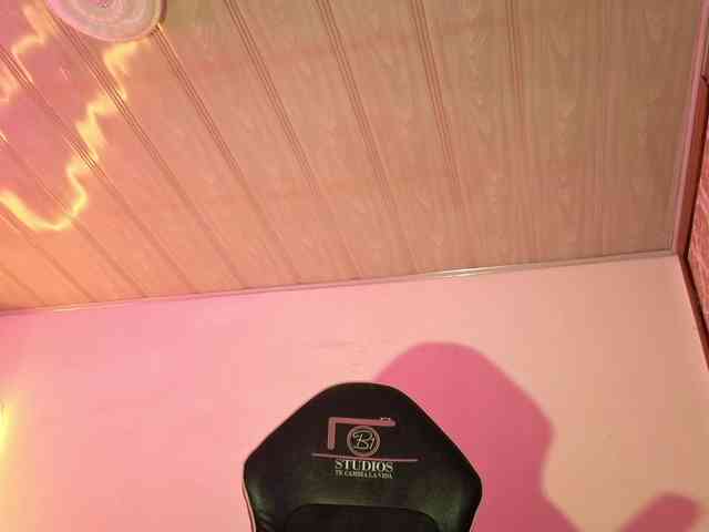 Laylafoxy-tay webcam