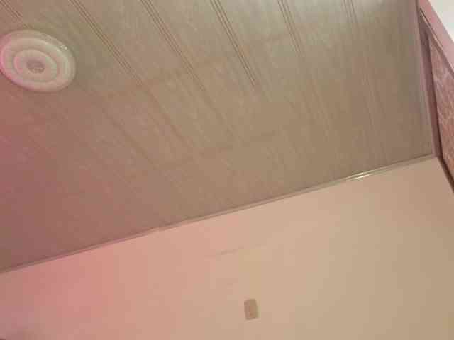 Laylafoxy-tay webcam
