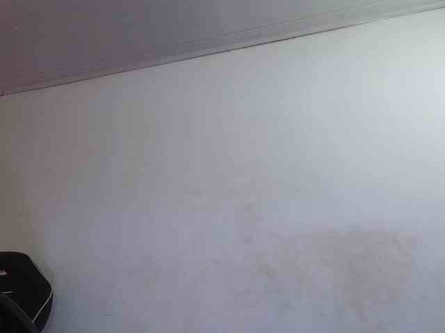 Laylafoxy-tay webcam