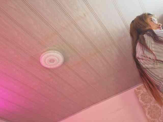 Laylafoxy-tay webcam