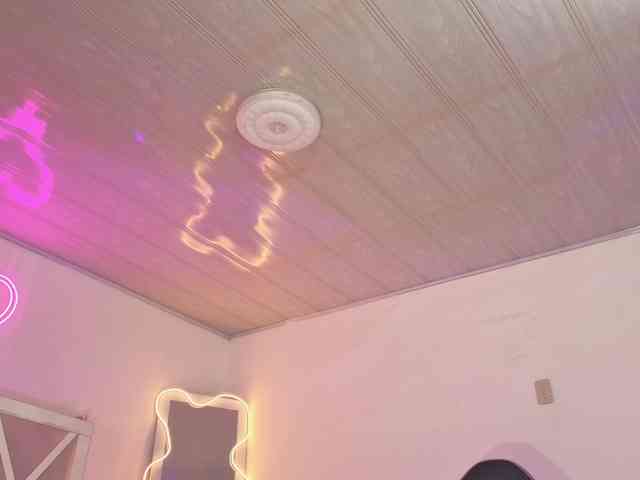 Laylafoxy-tay Laylafoxy-tay