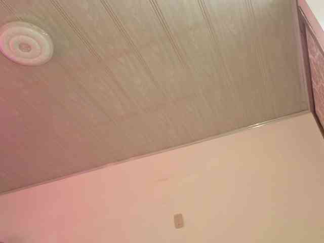 Laylafoxy-tay webcam