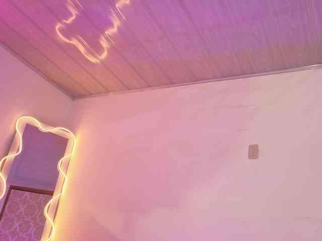 Laylafoxy-tay Laylafoxy-tay