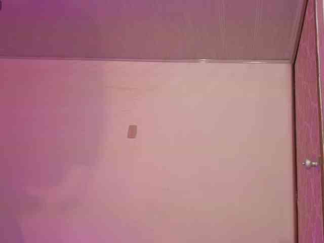 Laylafoxy-tay webcam