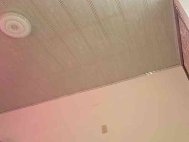 Laylafoxy-tay webcam