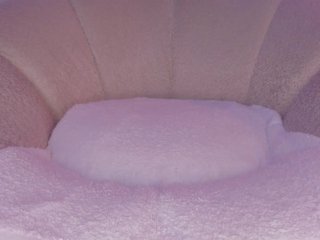 cutte-hanna18 Porn Show